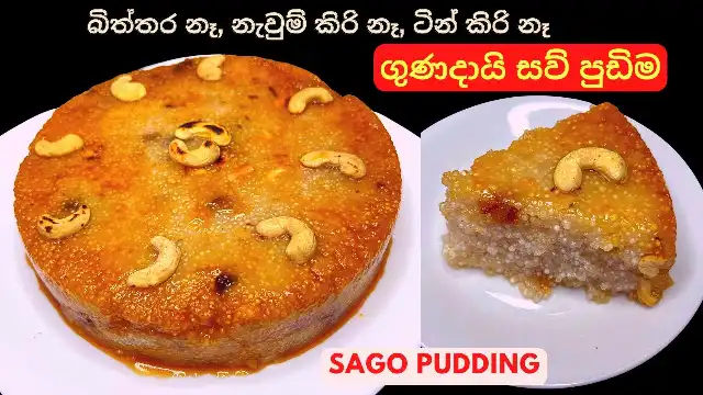 Sago Pudding using No Eggs and No Milk in about 10 minutes